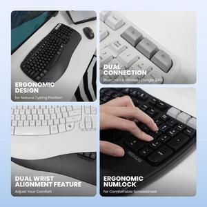 Rexus Ercho KL280 Keyboard Wireless Ergonomic with AI Shortcut Key - Mac & Windo_3