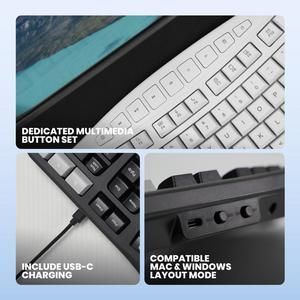 Rexus Ercho KL280 Keyboard Wireless Ergonomic with AI Shortcut Key - Mac & Windo_4