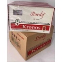 Sturdy Stavolt Kronos Soft Start 500VA_3