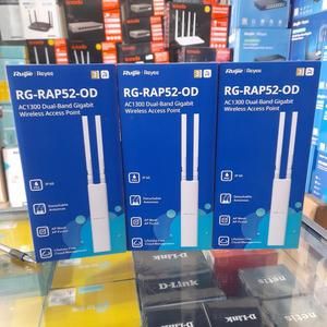 RG RAP52-OD AC1300 DUALBAND GIGABIT ACCESSPOINT OUTDOOR_2